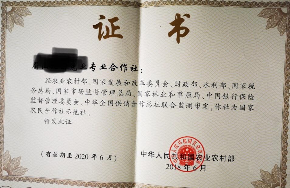 做好四篇特色文章,做好三农文章