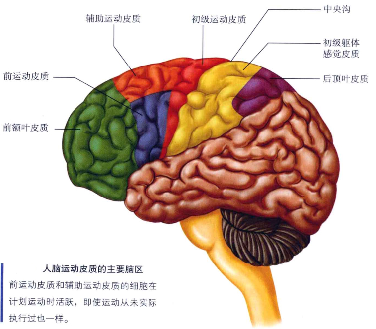 心理学的生物学基础知识,生物心理学知识书籍