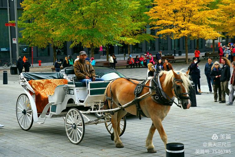 漫步魁北克体验不一样的北美风情,北美枫情蒙特利尔