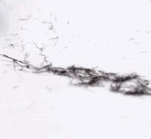 二月二龙抬头理发剪几下,二月二龙抬头理发刮光头