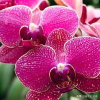 云南旅游三天最佳攻略自由行,去云南玩最省钱的旅游路线攻略