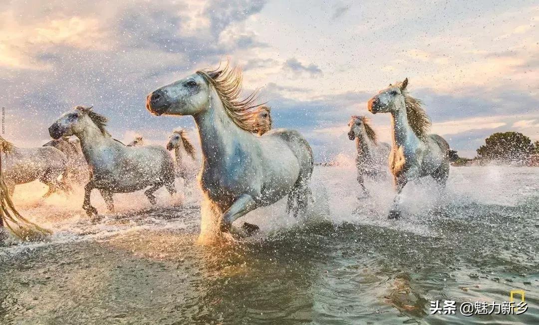 美国国家地理杂志2020摄影作品,美国国家地理杂志摄影展