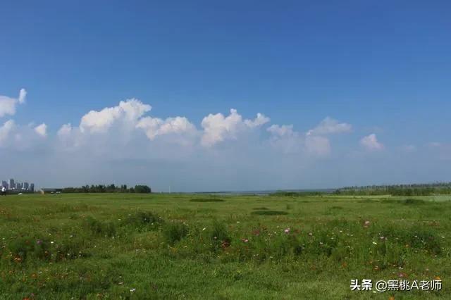 巢湖四中学校咋样,巢湖四中是最强的吗