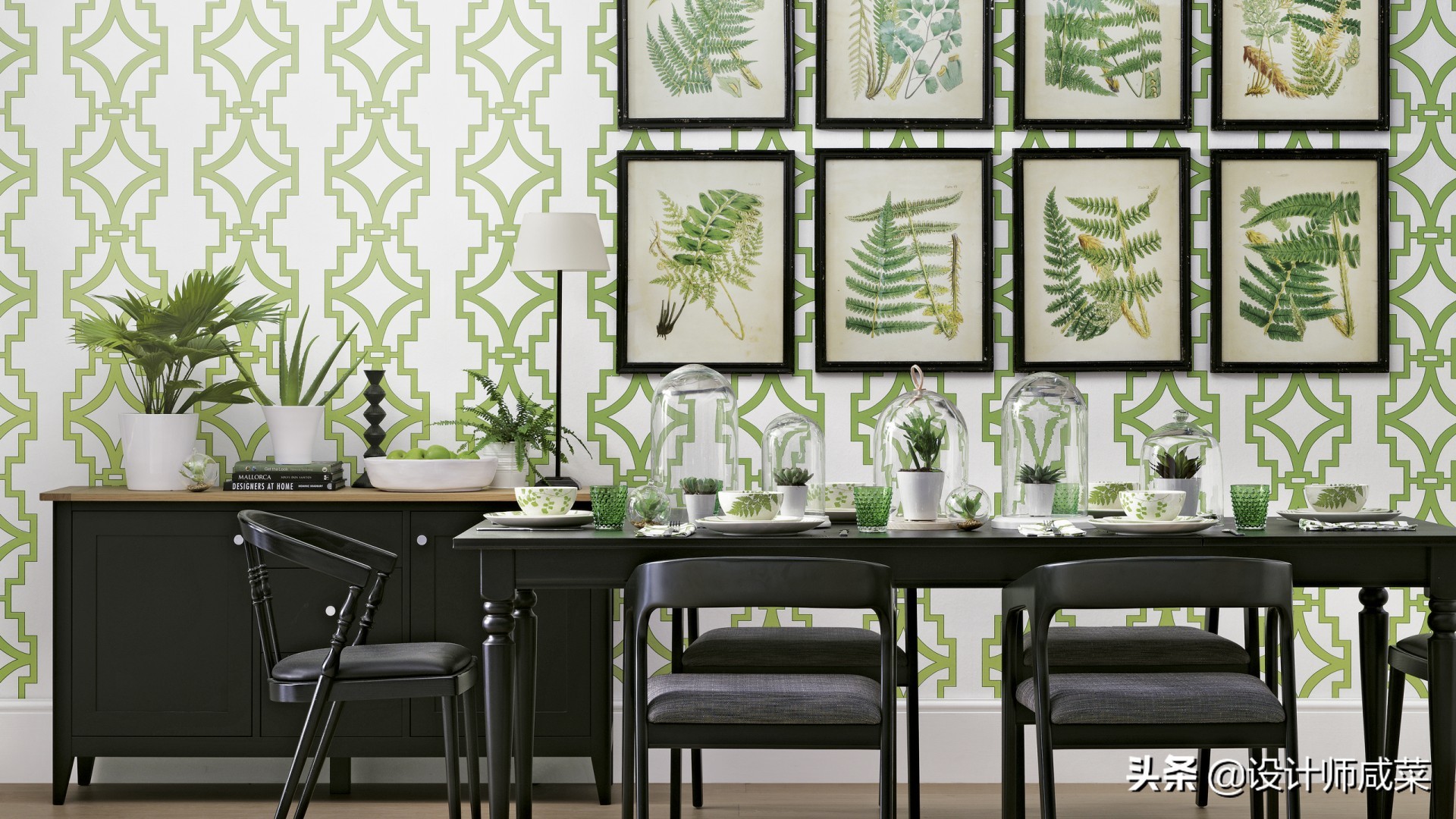 pvc壁纸和无纺布壁纸哪个好,壁纸怎么选择wallpaper