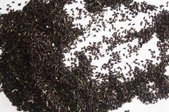 植物种子简介,考拉园艺网养花土配方