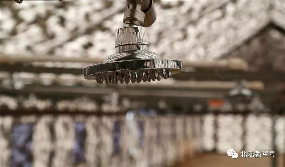 我是*用军**帐篷佩奇！一起来认识我的家族成员吧！