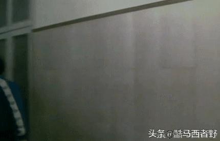 1986年世界杯阿根廷英格兰,1986年世界杯阿根廷夺冠历程