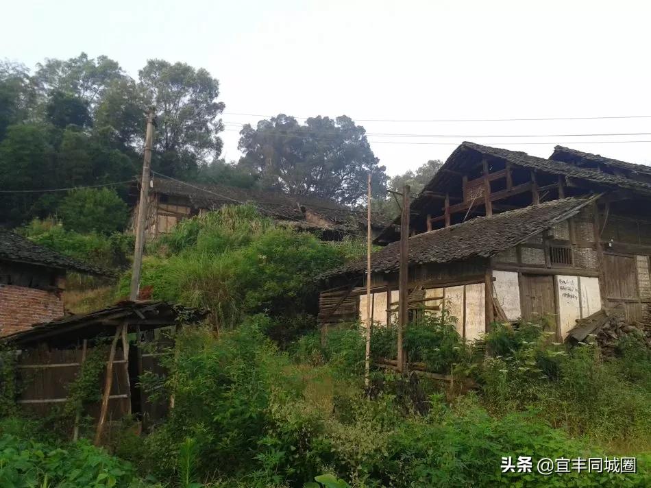 这些失传已久的童谣你还记得吗,这些即将消失的老行当你还记得吗