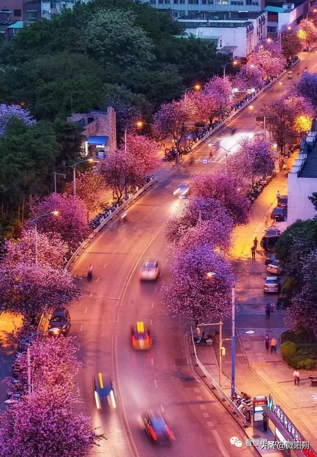 广西人丁最旺的地方,广西含硒最多的地方