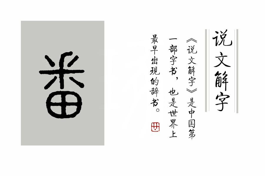 《说文解字》第124课：了解字义，“釆”和“采”就不会搞混了