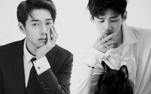 娱乐圈三大爆笑事,娱乐大事件白敬亭宋轶