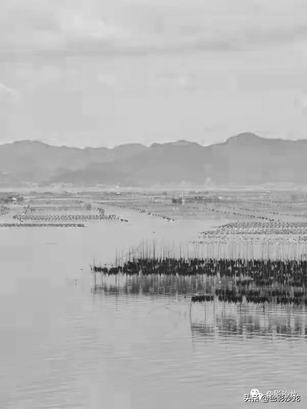 「任福斌」水墨意境的霞浦