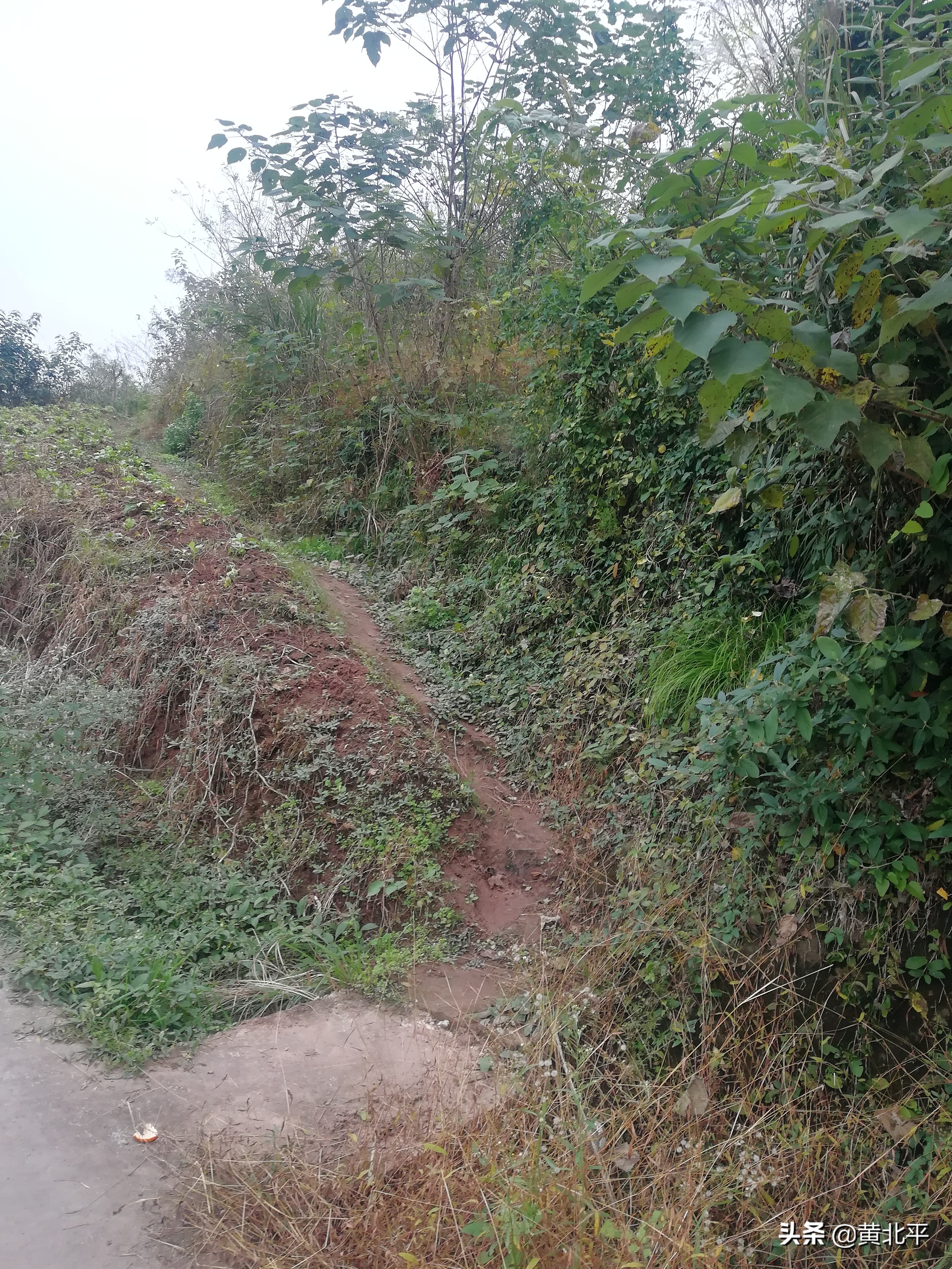 唐家大院唐家是怎么没落的,重庆唐家院子来历