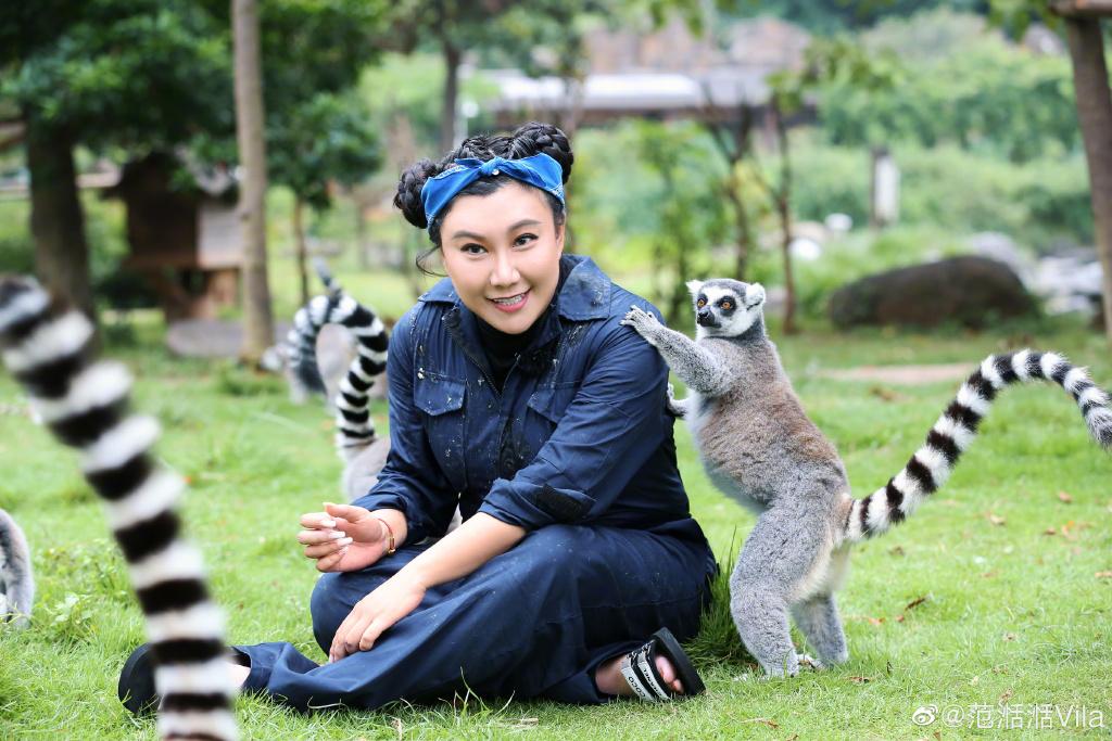 周星驰黄圣依合作的影视,周星驰黄圣依最后重逢