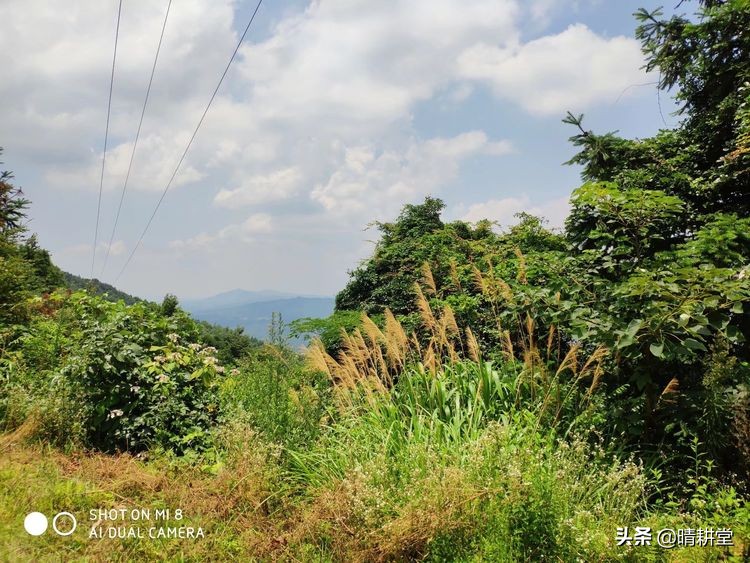 赣州峰山附近一日游自驾游景点,赣州峰山美景