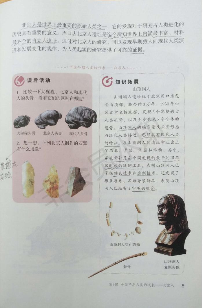 最新部编版七年级历史上册电子课本，提前备课、预习的快来免费领