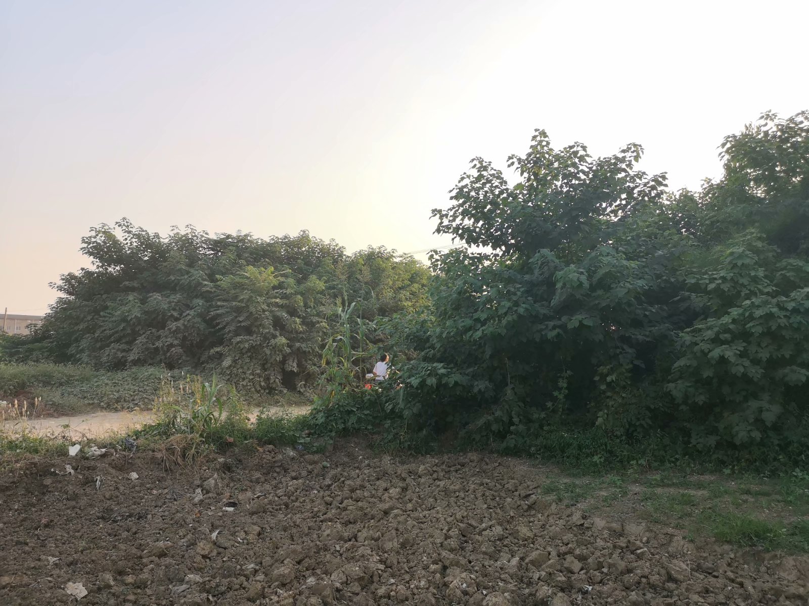 摩托自驾景点附近,蚌埠古迹半日游