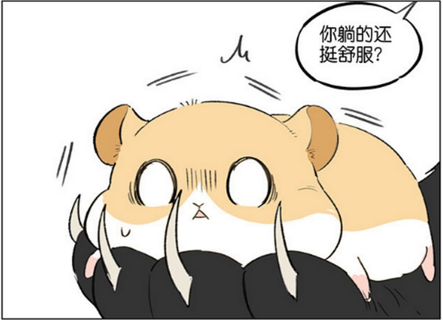 仓鼠的跑步速度有多快,小仓鼠跑步有多快