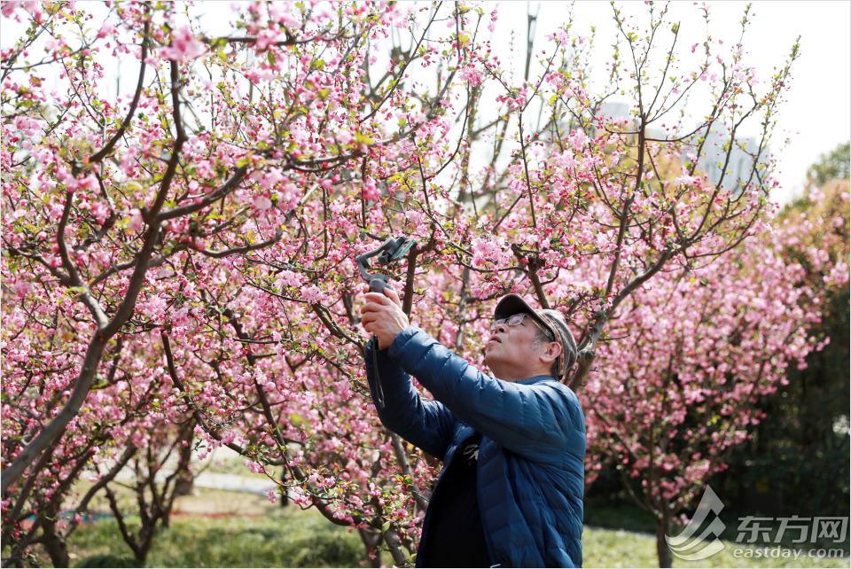 黄兴公园四季特色,黄兴公园美景