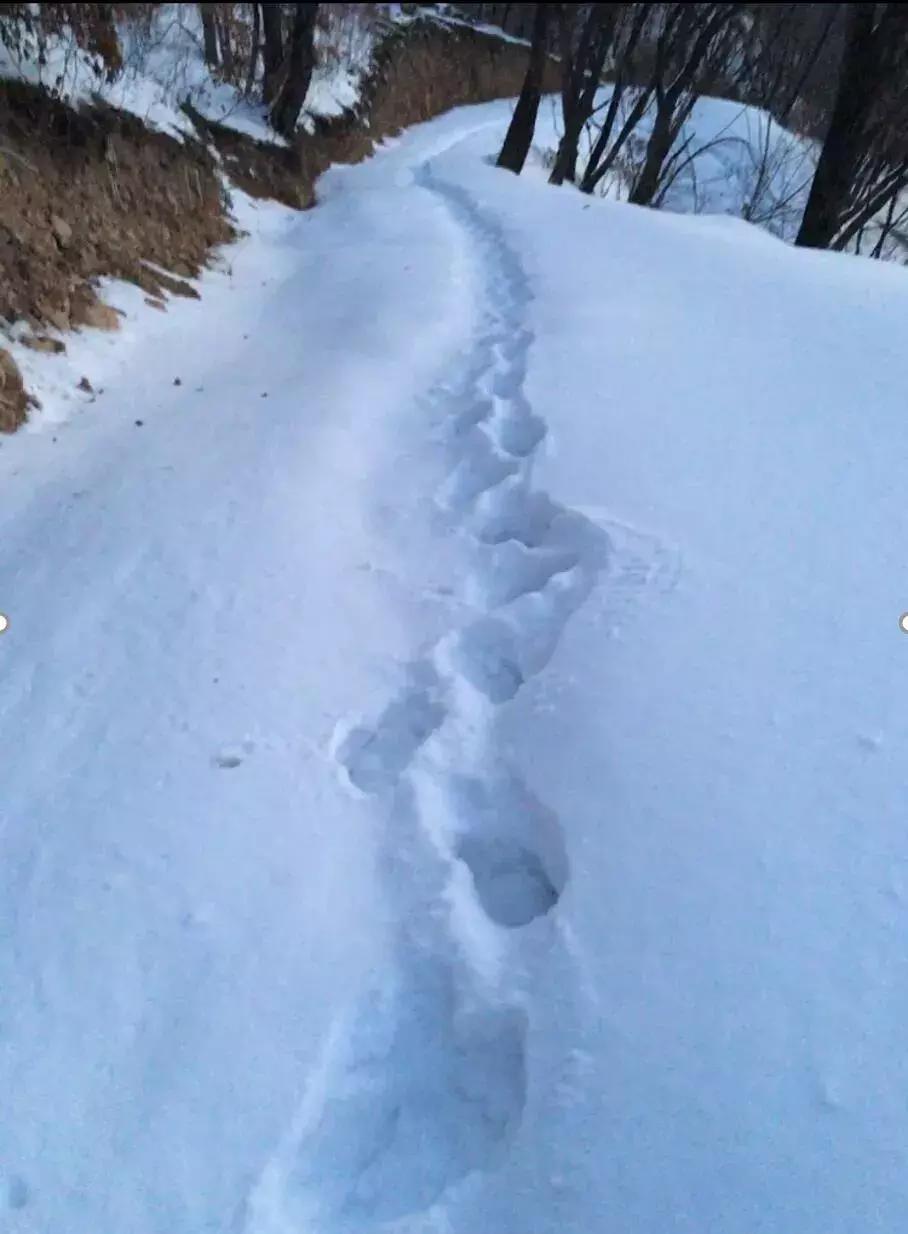 冰雪拍摄技巧和注意事项,冰天雪地雪景摄影技巧大全