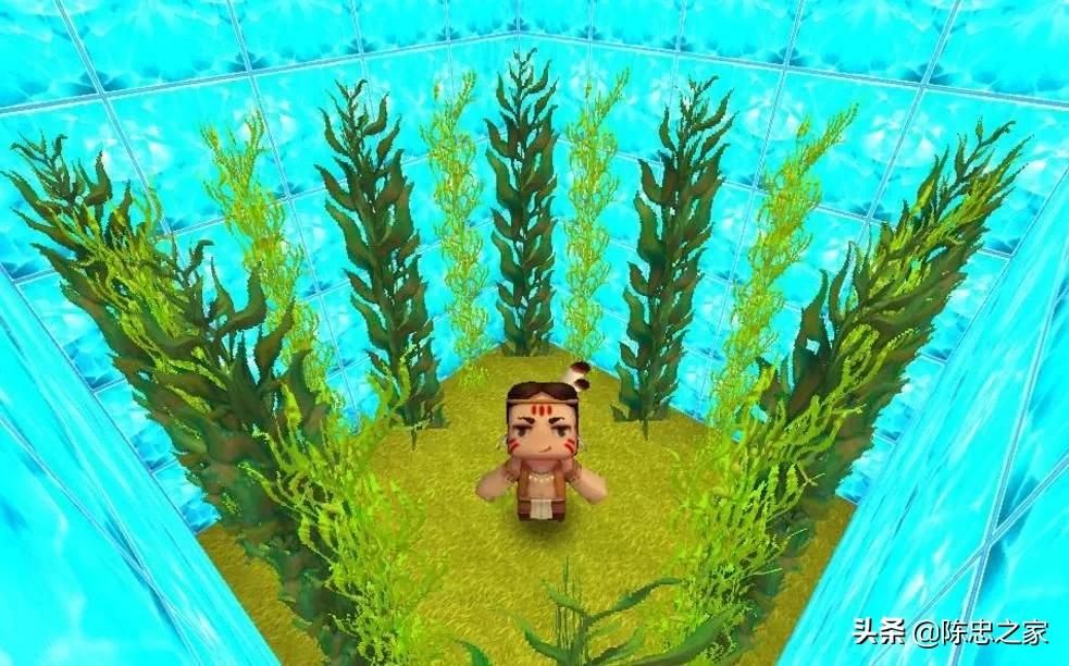 迷你世界怎么样才能养鱼,迷你世界怎么才能在水里养鱼