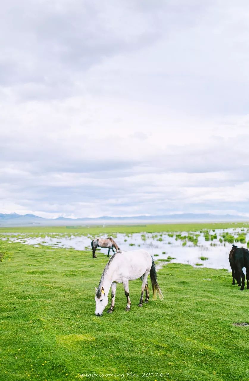 媲美318国道和219国道线路,堪比318美景的国道