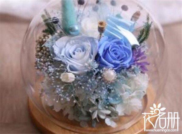 永生花一般多少钱一盒7大品牌永生花价格（89元-1999元不等）