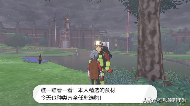 宝可梦剑盾一周目二周目什么意思,switch精灵宝可梦剑盾一周目