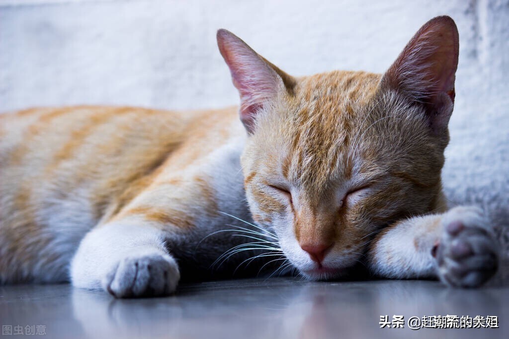 这4类东西不建议在网上买,什么商品不建议在网上买