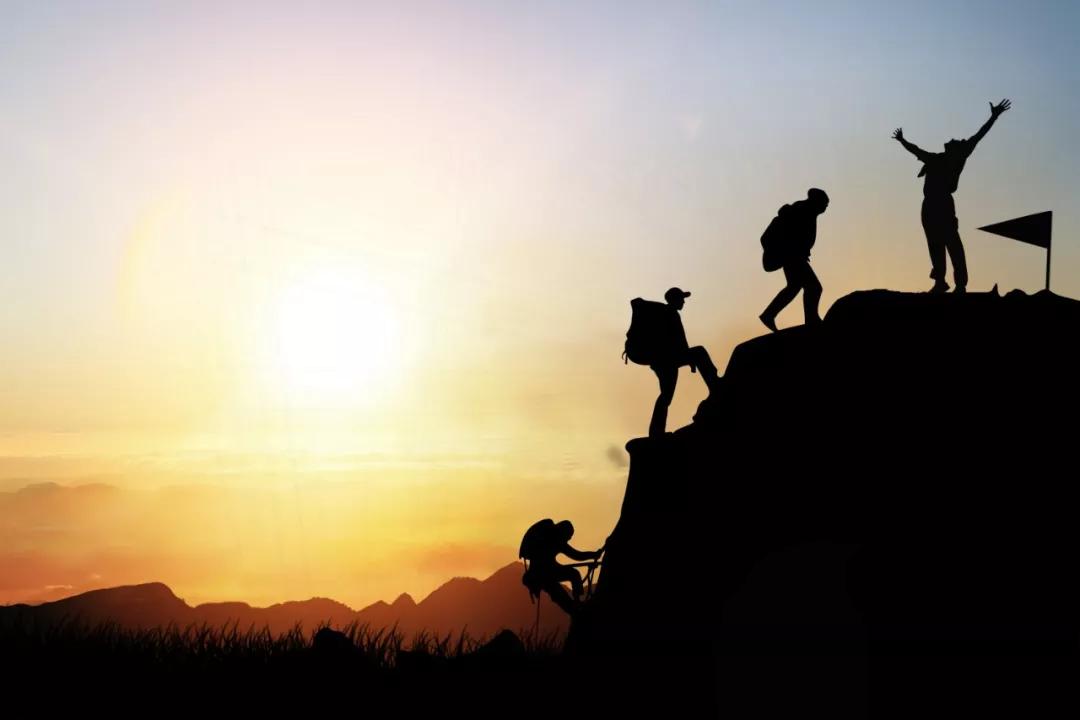 两面针能卖多少钱,两面针零售