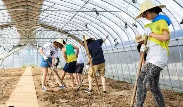 有机农业未来发展思路,有机农业的发展目标和成效