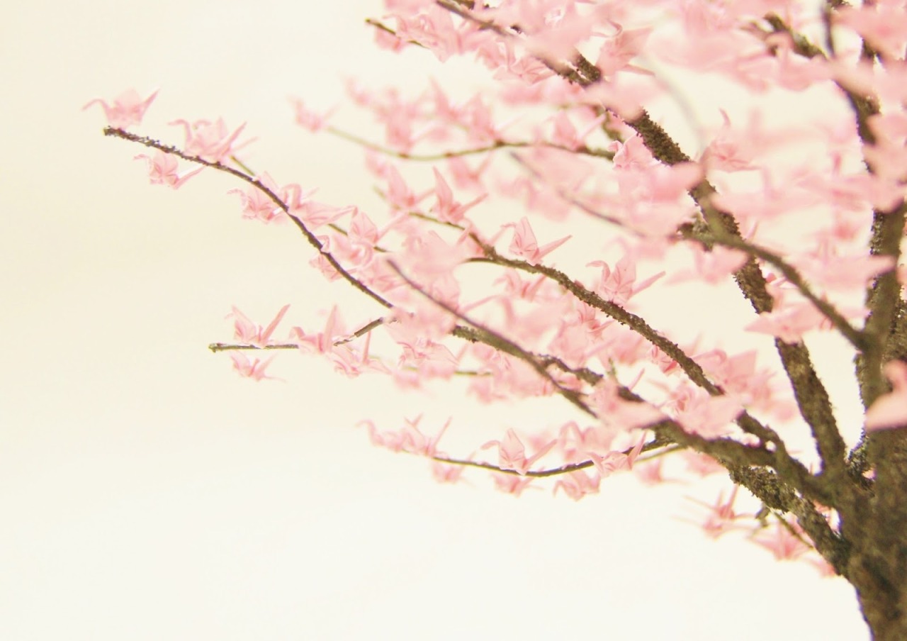 杭州95后小伙折纸山海经千纸鹤,日本折千纸鹤的纸