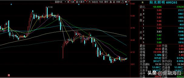 阳光照明的财报深度解析,阳光照明为什么业绩好但股价很低