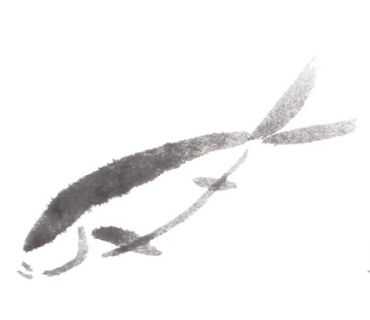 草鱼不会画？那是你没有学会这几点画法，学会几分钟画《鱼乐图》