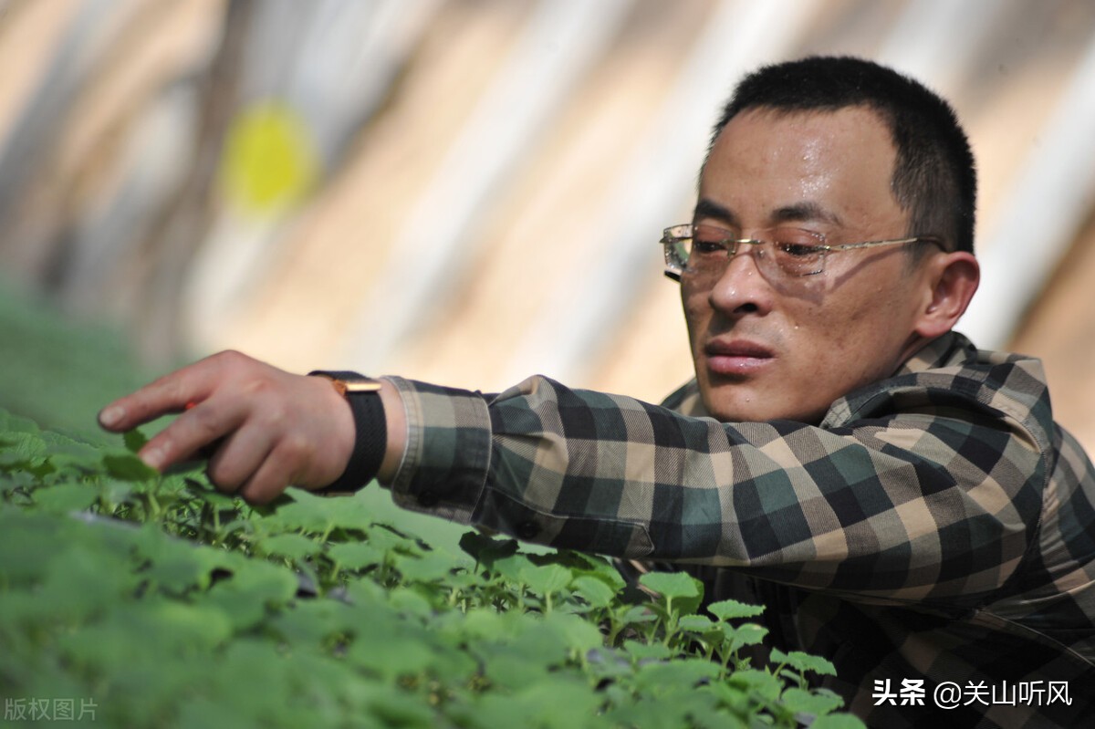 农村老话说：“挂帐怕遇三十六”，“三十六”有啥可怕的呢？