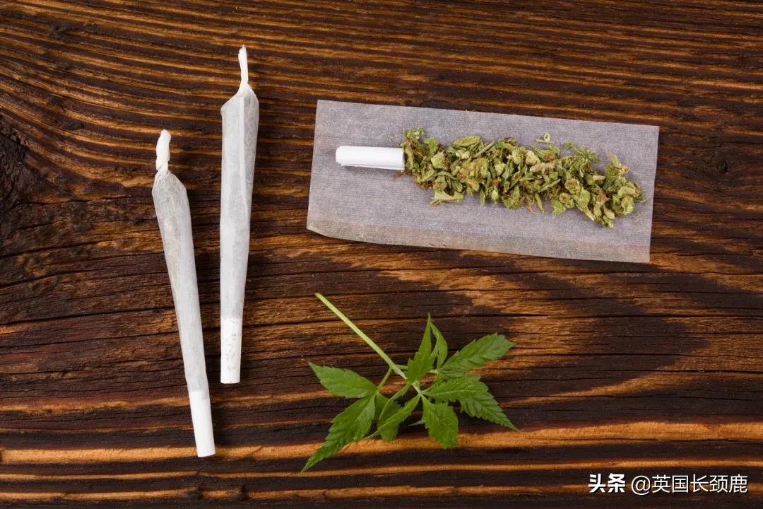 英国留学必备十种药,英国留学带的常用药
