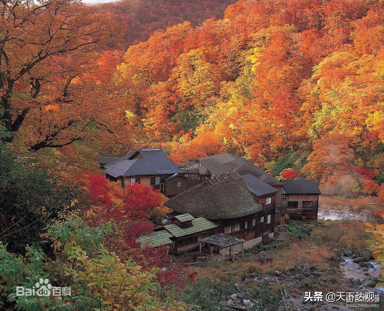 日本秋田县三大特产,秋田县