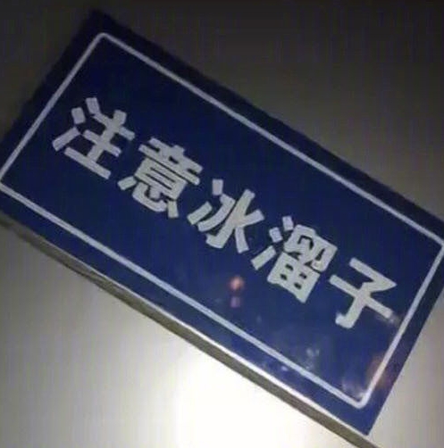 播种一棵树收获一片森林,播种一粒种子收获一份希望