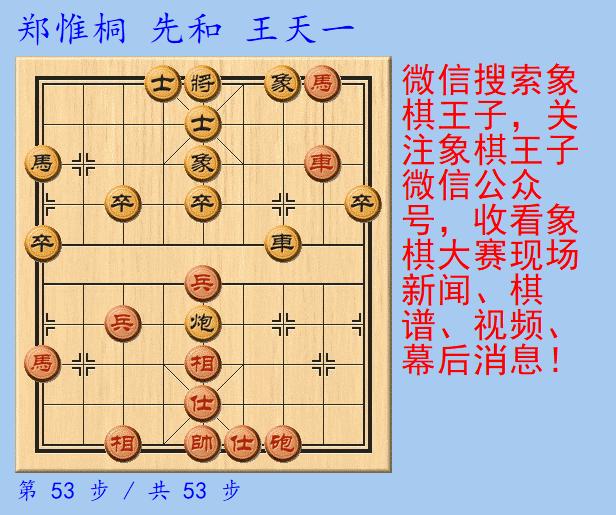 王天一最经典象棋对局 (象棋大师评价王天一和郑惟桐)