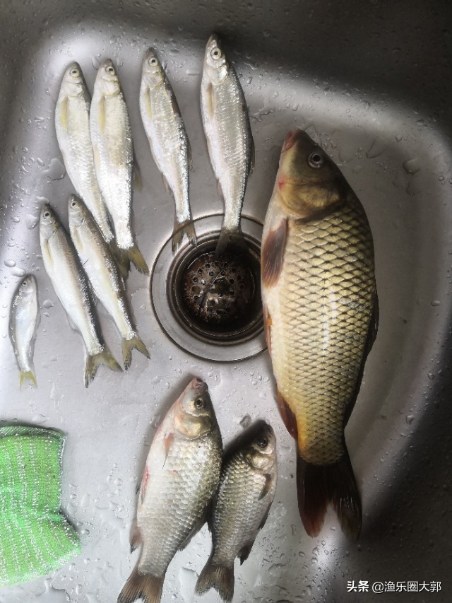 钓鱼四款自制鱼饵配方,十种钓鱼调料配方