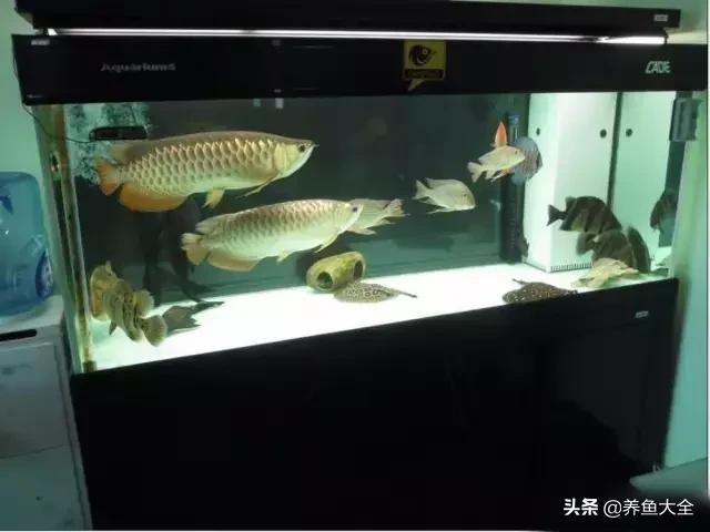 瀑布过滤推荐测评,过滤净水器好物测评