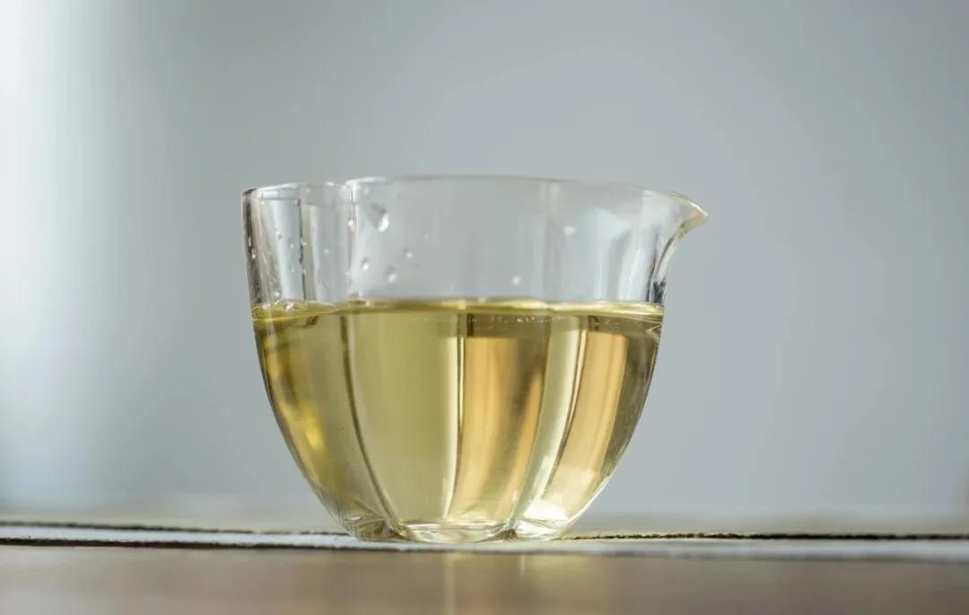 描写山茶梅花的诗句,描写茶梅花的诗句