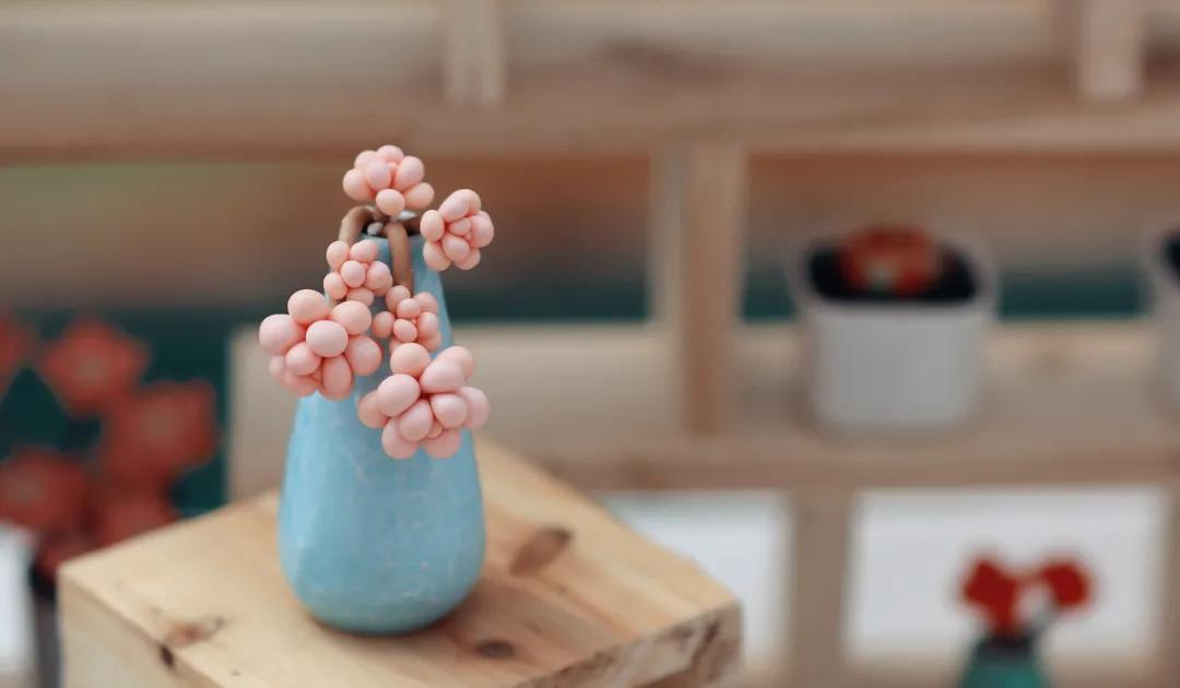 这个年销量上亿株多肉的县城，举办了首届多肉电商节