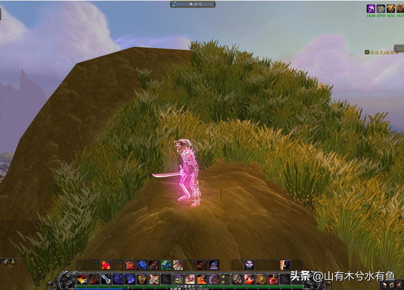 魔兽世界隐藏玩具排行,魔兽世界十大值得买的玩具