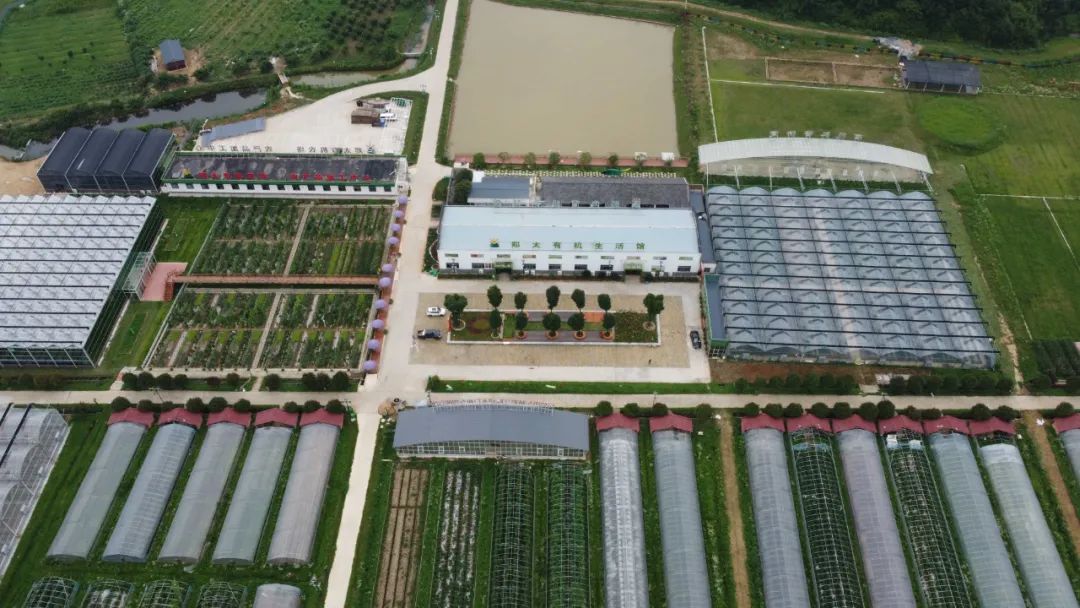 亲子农庄应该怎么玩,农庄旅游攻略亲子游