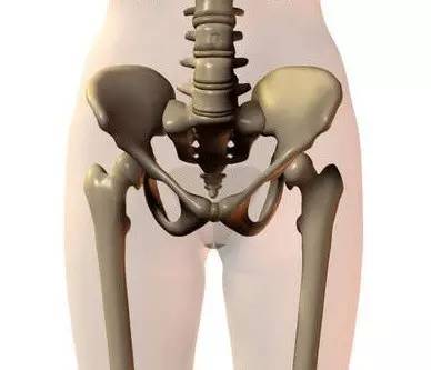 人工关节置换术后康复训练,股骨颈骨折人工置换术后康复训练