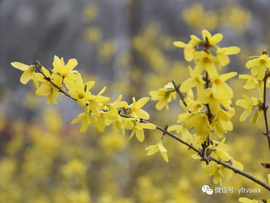 杨凌现状,杨凌最新照片