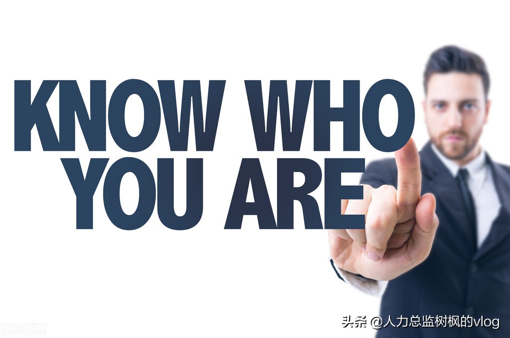 pdp职业性格特征测试,pdp性格测试各种类型适合什么企业