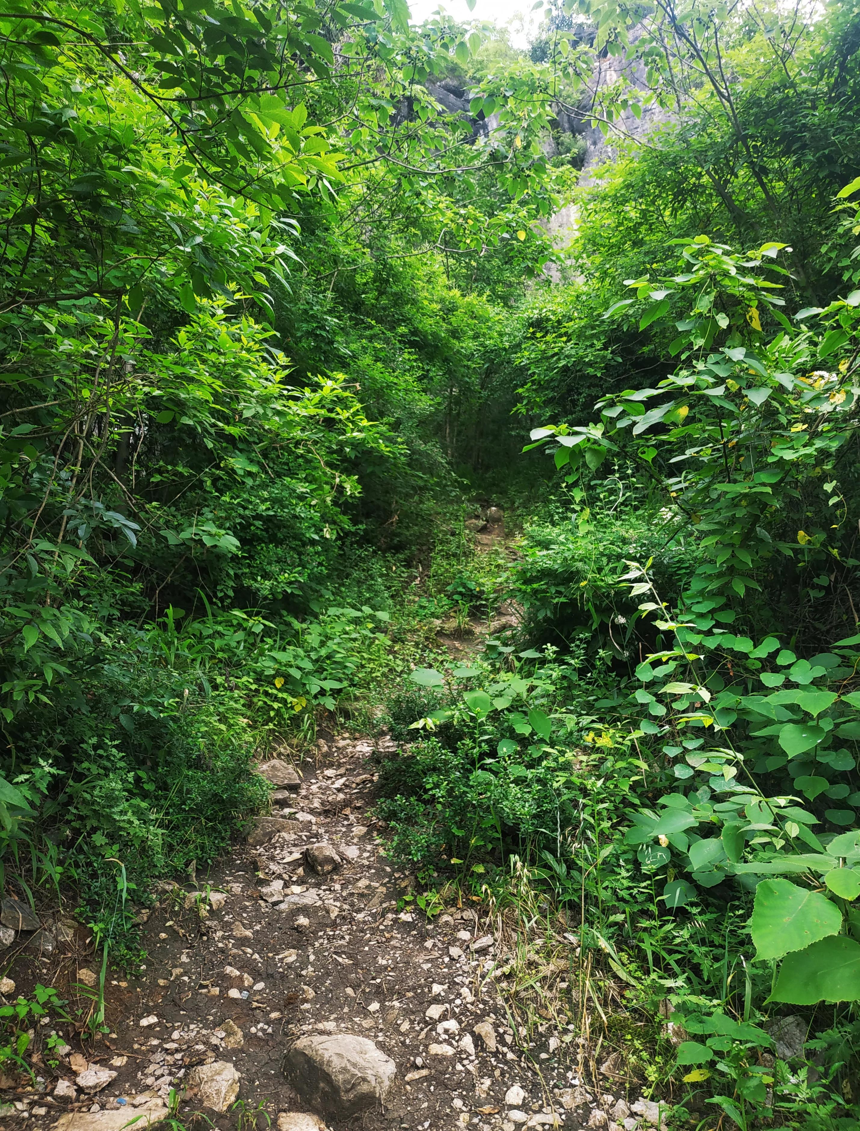 新田航拍全景视频,永州白米寨