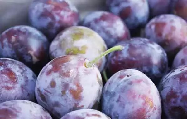 全新疆著名的特产,盘点十大新疆的特产